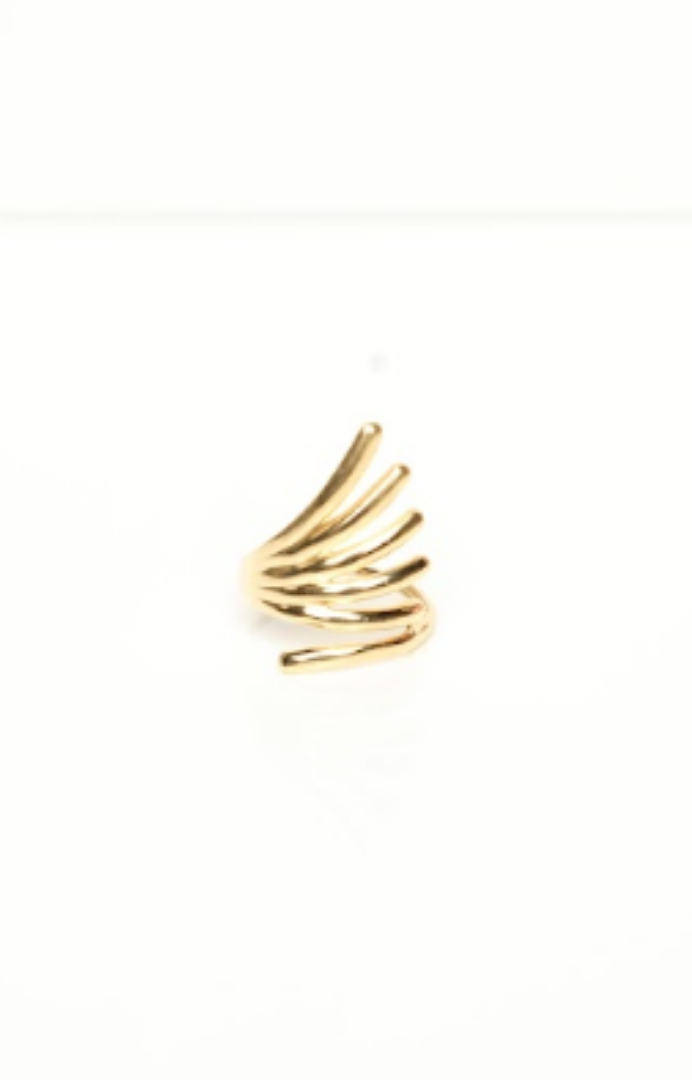 Fan ring